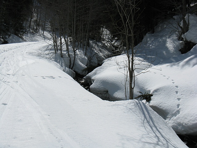 Lesachtal 2009 143.jpg